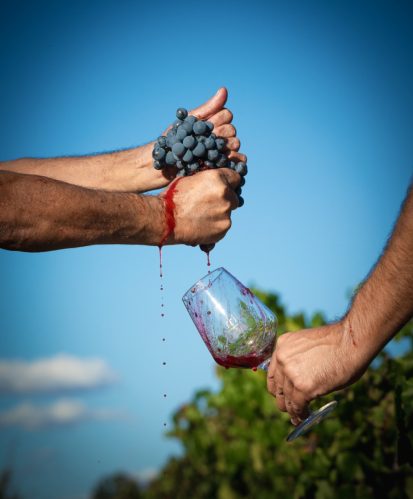 DO Arribes Vendimia 84 -